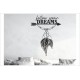 Traumfänger follow your dreams Feder Träume Pfeil Schlafzimmer Wandtattoo Aufkleber Wand Wandsticker