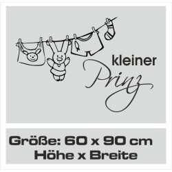 Wandaufkleber Wandtattoo Aufkleber Baby Babies Wunschnamen Sterne Häschen kleiner Prinz kleine Prinzessin Fee Elfen Gewicht Name