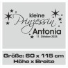 Wandaufkleber Wandtattoo Aufkleber Baby Babies Wunschnamen Sterne Häschen kleiner Prinz kleine Prinzessin Fee Elfen Gewicht Name