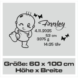 Wandaufkleber Wandtattoo Aufkleber Baby Babies Wunschnamen Sterne Häschen kleiner Prinz kleine Prinzessin Fee Elfen Gewicht Name