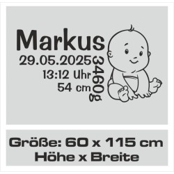 Wandaufkleber Wandtattoo Aufkleber Baby Babies Wunschnamen Sterne Häschen kleiner Prinz kleine Prinzessin Fee Elfen Gewicht Name