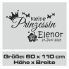 Wandaufkleber Wandtattoo Aufkleber Baby Babies Wunschnamen Sterne Häschen kleiner Prinz kleine Prinzessin Fee Elfen Gewicht Name