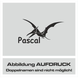 Kindergarten Rucksack Kindergarten Tasche Sport Freizeit Kinder Kids Dinos Blumen Feen Bären Autos Sterne Wunschnamen Name Autos