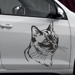 Aufkleber SET Auto Car Tattoo Style Seiten Tribal Dekor Pferd Gecko Power Blumen Ranke Fee Hexe Blumen Blüten Gecko Farbe