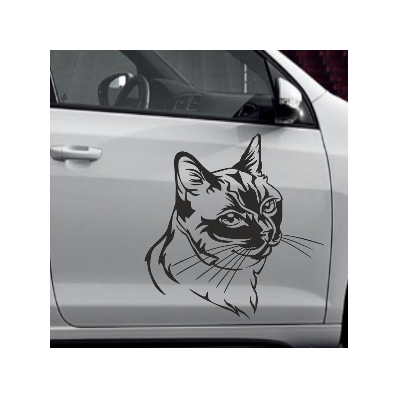Aufkleber SET Auto Car Tattoo Style Seiten Tribal Dekor Pferd Gecko Power Blumen Ranke Fee Hexe Blumen Blüten Gecko Farbe