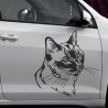 Aufkleber SET Auto Car Tattoo Style Seiten Tribal Dekor Pferd Gecko Power Blumen Ranke Fee Hexe Blumen Blüten Gecko Farbe