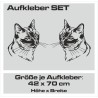 Aufkleber SET Auto Car Tattoo Style Seiten Tribal Dekor Pferd Gecko Power Blumen Ranke Fee Hexe Blumen Blüten Gecko Farbe