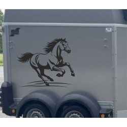 Aufkleber SET Pferdeanhänger KFZ Anhänger Pferd Pferde Stute Hengst Fohlen Landschaft Rosen Dekor Reitsport Pferdehof Reiten