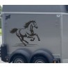 Aufkleber SET Pferdeanhänger KFZ Anhänger Pferd Pferde Stute Hengst Fohlen Landschaft Rosen Dekor Reitsport Pferdehof Reiten