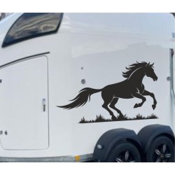 Aufkleber SET Pferdeanhänger KFZ Anhänger Pferd Pferde Stute Hengst Fohlen Landschaft Rosen Dekor Reitsport Pferdehof Reiten