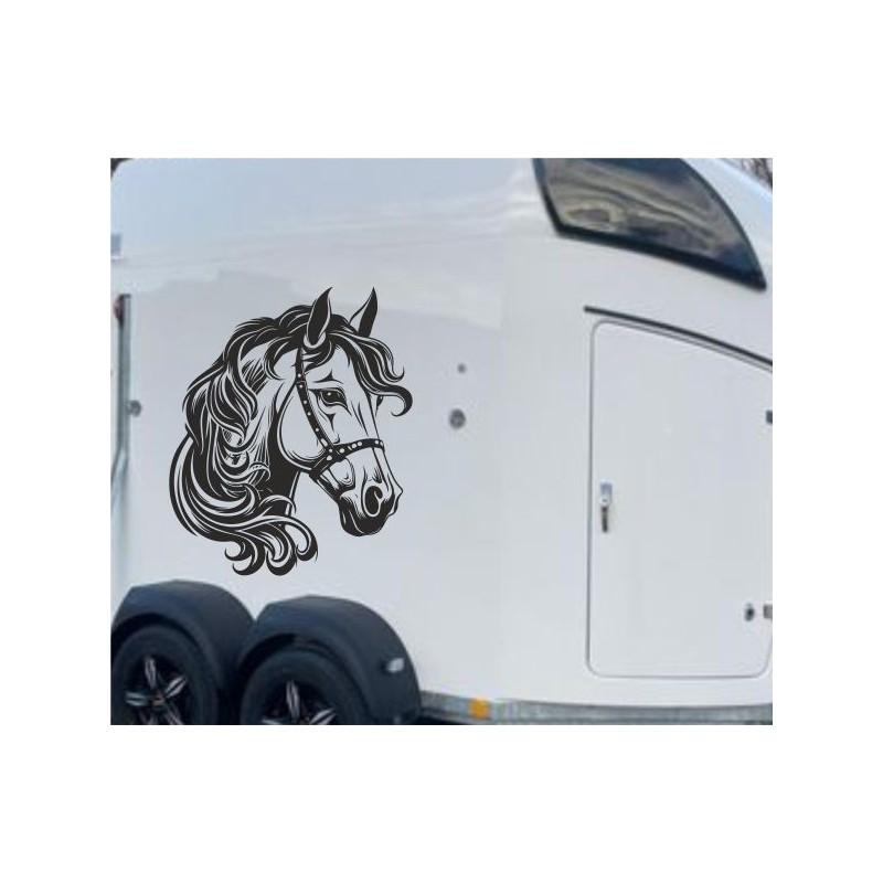 Aufkleber SET Pferdeanhänger KFZ Anhänger Pferd Pferde Stute Hengst Fohlen Landschaft Rosen Dekor Reitsport Pferdehof Reiten