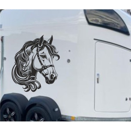 Aufkleber SET Pferdeanhänger KFZ Anhänger Pferd Pferde Stute Hengst Fohlen Landschaft Rosen Dekor Reitsport Pferdehof Reiten