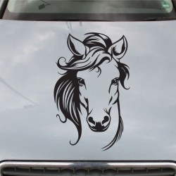 Aufkleber Auto Pferd Fohlen Stute Hengst Hufeisen Glück Spruch Dekor Stall Pferdehof Reiten Sport Familie Pony Sticker