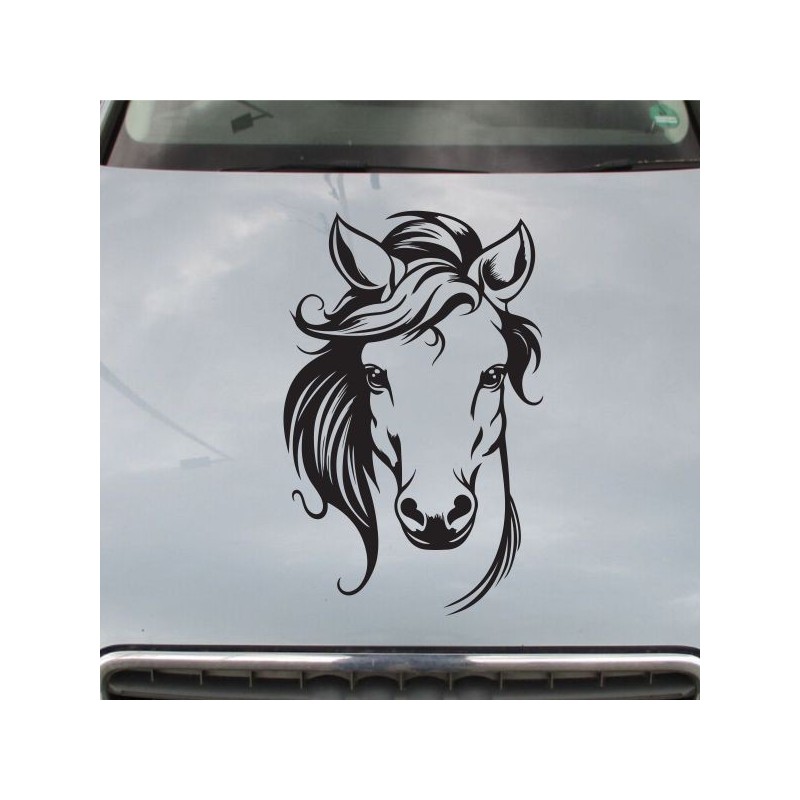 Aufkleber Auto Pferd Fohlen Stute Hengst Hufeisen Glück Spruch Dekor Stall Pferdehof Reiten Sport Familie Pony Sticker
