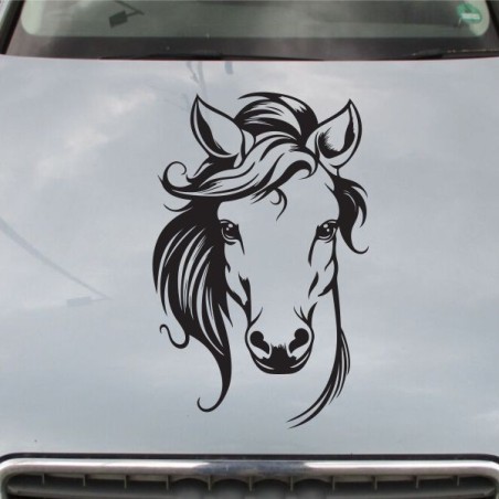 Aufkleber Auto Pferd Fohlen Stute Hengst Hufeisen Glück Spruch Dekor Stall Pferdehof Reiten Sport Familie Pony Sticker