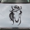 Aufkleber Auto Pferd Fohlen Stute Hengst Hufeisen Glück Spruch Dekor Stall Pferdehof Reiten Sport Familie Pony Sticker