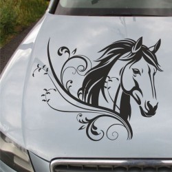 Aufkleber Auto Pferd Fohlen Stute Hengst Hufeisen Glück Spruch Dekor Stall Pferdehof Reiten Sport Familie Pony Sticker