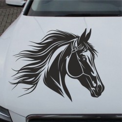 Aufkleber Auto Pferd Fohlen Stute Hengst Hufeisen Glück Spruch Dekor Stall Pferdehof Reiten Sport Familie Pony Sticker