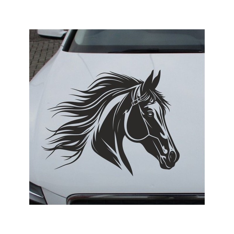 Aufkleber Auto Pferd Fohlen Stute Hengst Hufeisen Glück Spruch Dekor Stall Pferdehof Reiten Sport Familie Pony Sticker