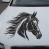 Aufkleber Auto Pferd Fohlen Stute Hengst Hufeisen Glück Spruch Dekor Stall Pferdehof Reiten Sport Familie Pony Sticker
