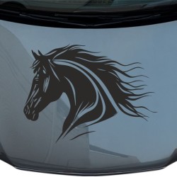 Aufkleber Auto Pferd Fohlen Stute Hengst Hufeisen Glück Spruch Dekor Stall Pferdehof Reiten Sport Familie Pony Sticker