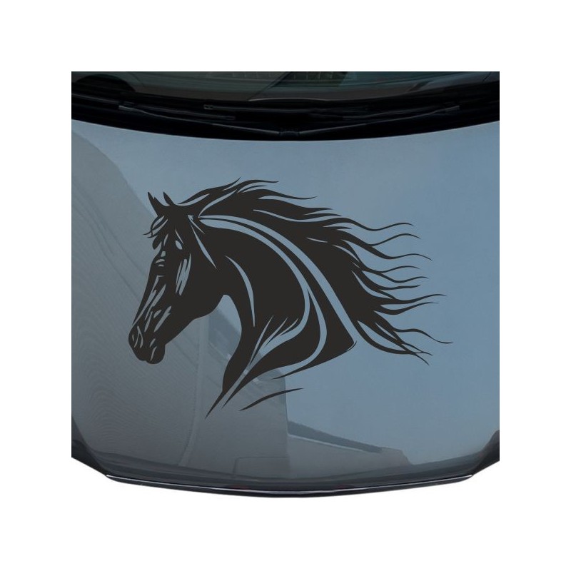 Aufkleber Auto Pferd Fohlen Stute Hengst Hufeisen Glück Spruch Dekor Stall Pferdehof Reiten Sport Familie Pony Sticker