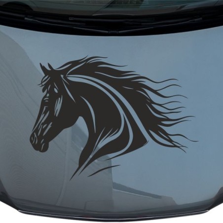 Aufkleber Auto Pferd Fohlen Stute Hengst Hufeisen Glück Spruch Dekor Stall Pferdehof Reiten Sport Familie Pony Sticker
