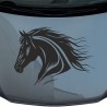 Aufkleber Auto Pferd Fohlen Stute Hengst Hufeisen Glück Spruch Dekor Stall Pferdehof Reiten Sport Familie Pony Sticker