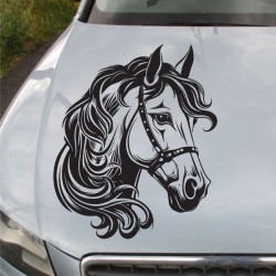Aufkleber Auto Pferd Fohlen Stute Hengst Hufeisen Glück Spruch Dekor Stall Pferdehof Reiten Sport Familie Pony Sticker