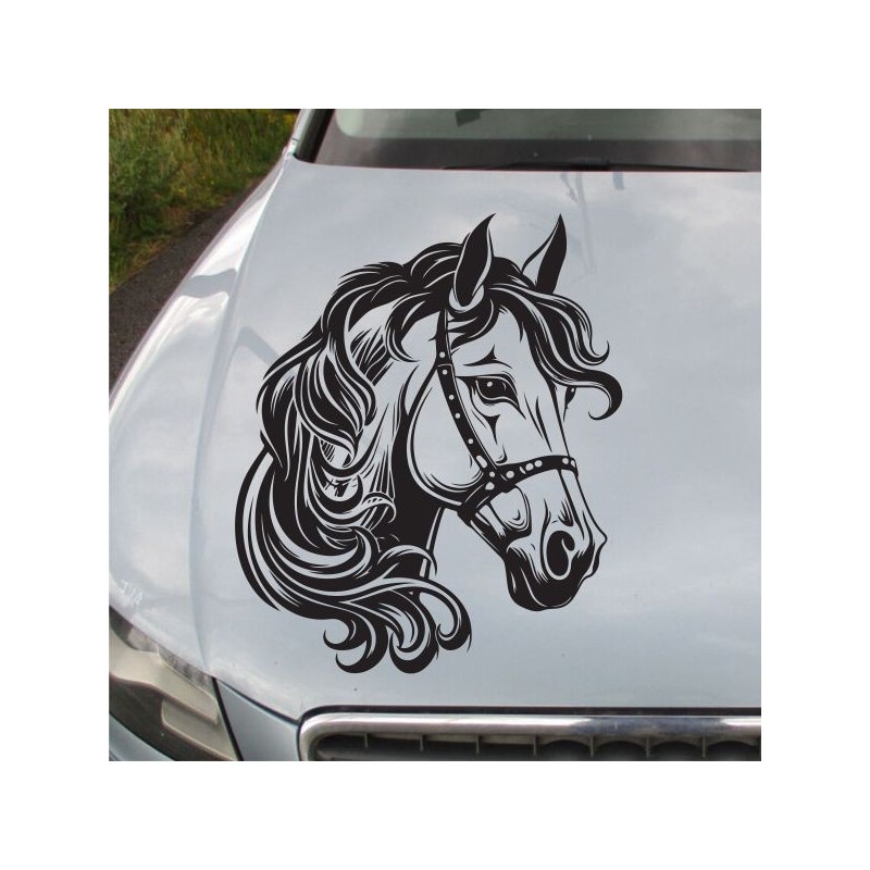 Aufkleber Auto Pferd Fohlen Stute Hengst Hufeisen Glück Spruch Dekor Stall Pferdehof Reiten Sport Familie Pony Sticker