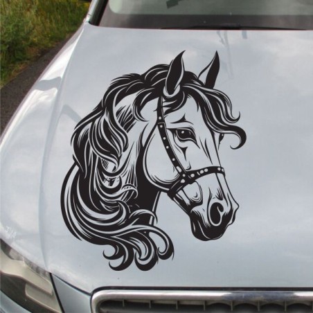 Aufkleber Auto Pferd Fohlen Stute Hengst Hufeisen Glück Spruch Dekor Stall Pferdehof Reiten Sport Familie Pony Sticker