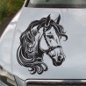 Aufkleber Auto Pferd Fohlen Stute Hengst Hufeisen Glück Spruch Dekor Stall Pferdehof Reiten Sport Familie Pony Sticker
