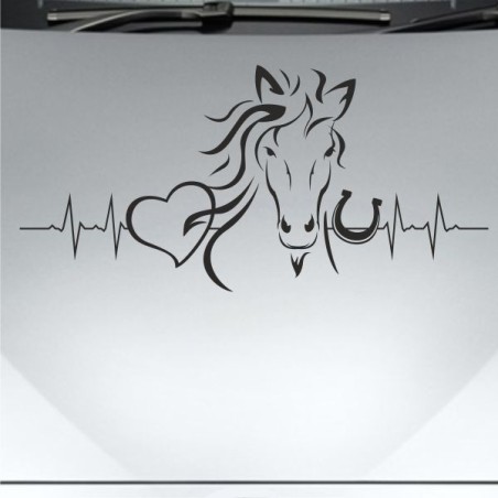 Aufkleber Auto Pferd Fohlen Stute Hengst Hufeisen Glück Spruch Dekor Stall Pferdehof Reiten Sport Familie Pony Sticker