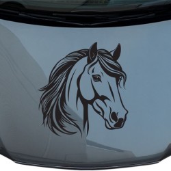 Aufkleber Auto Pferd Fohlen Stute Hengst Hufeisen Glück Spruch Dekor Stall Pferdehof Reiten Sport Familie Pony Sticker