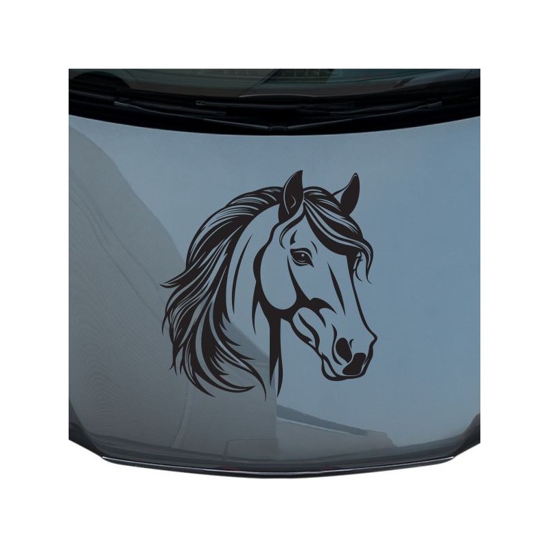 Aufkleber Auto Pferd Fohlen Stute Hengst Hufeisen Glück Spruch Dekor Stall Pferdehof Reiten Sport Familie Pony Sticker