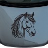 Aufkleber Auto Pferd Fohlen Stute Hengst Hufeisen Glück Spruch Dekor Stall Pferdehof Reiten Sport Familie Pony Sticker