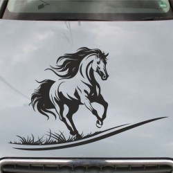Aufkleber Auto Pferd Fohlen Stute Hengst Hufeisen Glück Spruch Dekor Stall Pferdehof Reiten Sport Familie Pony Sticker