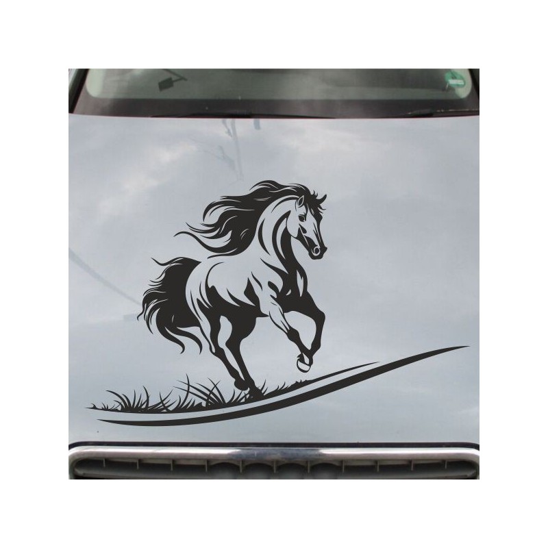Aufkleber Auto Pferd Fohlen Stute Hengst Hufeisen Glück Spruch Dekor Stall Pferdehof Reiten Sport Familie Pony Sticker