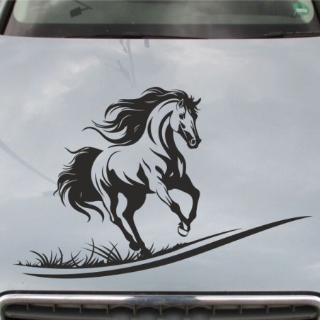 Aufkleber Auto Pferd Fohlen Stute Hengst Hufeisen Glück Spruch Dekor Stall Pferdehof Reiten Sport Familie Pony Sticker