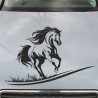 Aufkleber Auto Pferd Fohlen Stute Hengst Hufeisen Glück Spruch Dekor Stall Pferdehof Reiten Sport Familie Pony Sticker