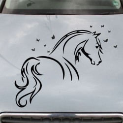Aufkleber Auto Pferd Fohlen Stute Hengst Hufeisen Glück Spruch Dekor Stall Pferdehof Reiten Sport Familie Pony Sticker