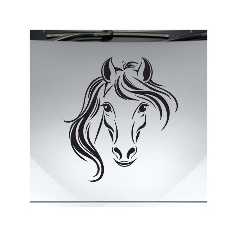 Aufkleber Auto Pferd Fohlen Stute Hengst Hufeisen Glück Spruch Dekor Stall Pferdehof Reiten Sport Familie Pony Sticker