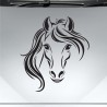 Aufkleber Auto Pferd Fohlen Stute Hengst Hufeisen Glück Spruch Dekor Stall Pferdehof Reiten Sport Familie Pony Sticker