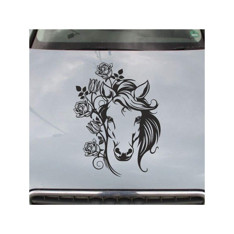 Aufkleber Auto Pferd Fohlen Stute Hengst Hufeisen Glück Spruch Dekor Stall Pferdehof Reiten Sport Familie Pony Sticker