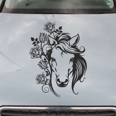Aufkleber Auto Pferd Fohlen Stute Hengst Hufeisen Glück Spruch Dekor Stall Pferdehof Reiten Sport Familie Pony Sticker