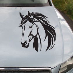 Aufkleber Auto Pferd Fohlen Stute Hengst Hufeisen Glück Spruch Dekor Stall Pferdehof Reiten Sport Familie Pony Sticker