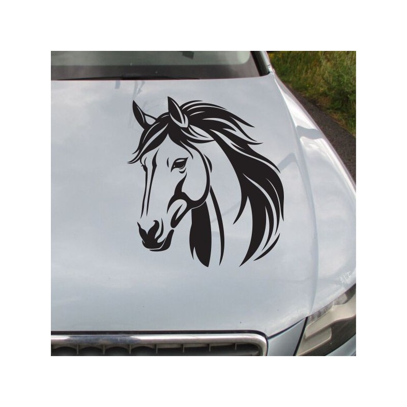 Aufkleber Auto Pferd Fohlen Stute Hengst Hufeisen Glück Spruch Dekor Stall Pferdehof Reiten Sport Familie Pony Sticker