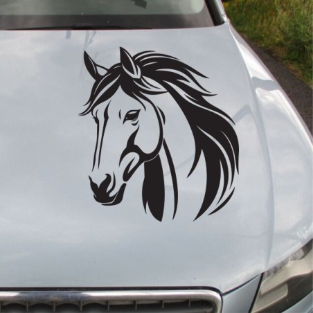 Aufkleber Auto Pferd Fohlen Stute Hengst Hufeisen Glück Spruch Dekor Stall Pferdehof Reiten Sport Familie Pony Sticker
