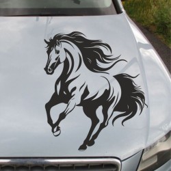 Aufkleber Auto Pferd Fohlen Stute Hengst Hufeisen Glück Spruch Dekor Stall Pferdehof Reiten Sport Familie Pony Sticker