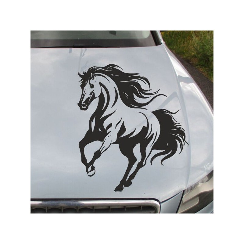 Aufkleber Auto Pferd Fohlen Stute Hengst Hufeisen Glück Spruch Dekor Stall Pferdehof Reiten Sport Familie Pony Sticker